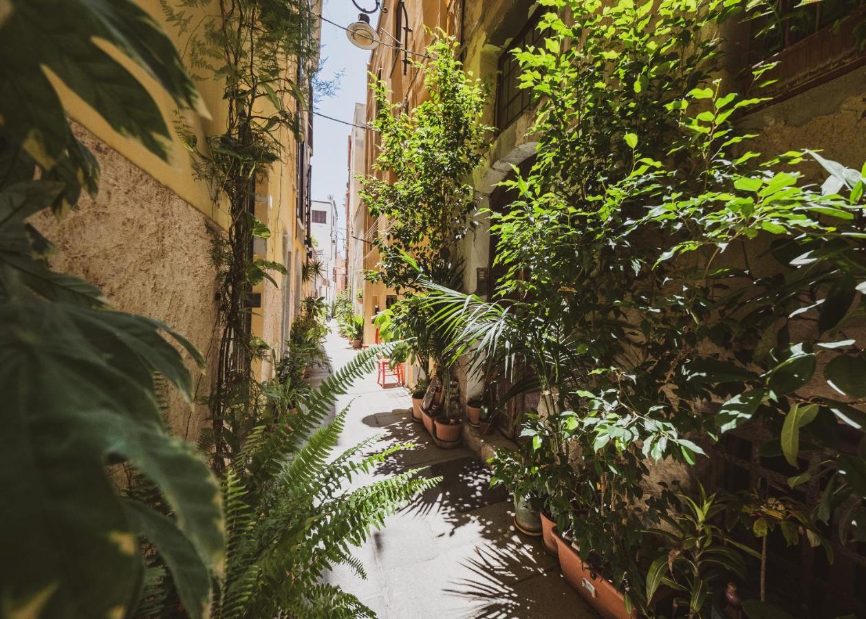 Appartamento Maestrale - Quartiere Castello カリアリ エクステリア 写真